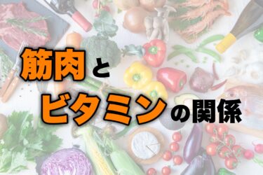 筋肉とビタミンの関係