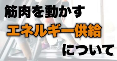 筋肉を動かすエネルギー供給について